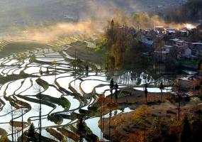 Yangmei Ancient Town Rice Terraces